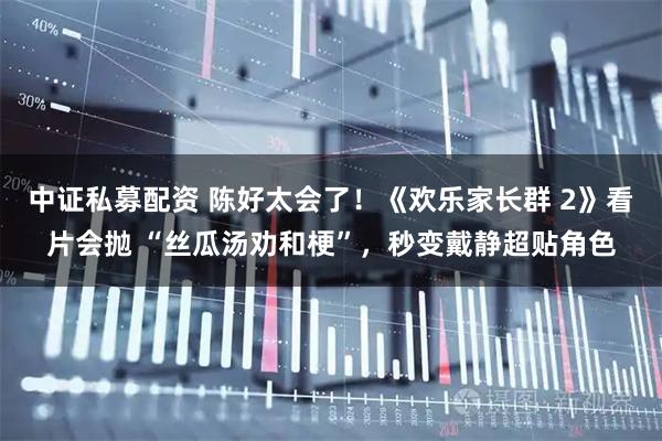 中证私募配资 陈好太会了！《欢乐家长群 2》看片会抛 “丝瓜汤劝和梗”，秒变戴静超贴角色