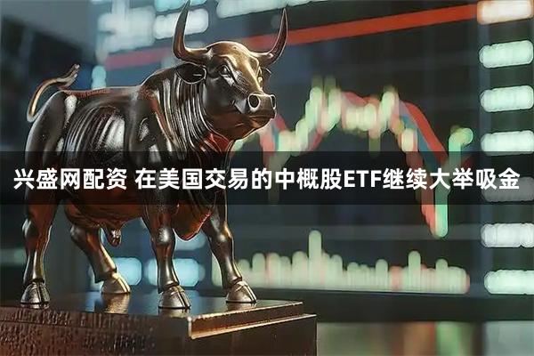兴盛网配资 在美国交易的中概股ETF继续大举吸金